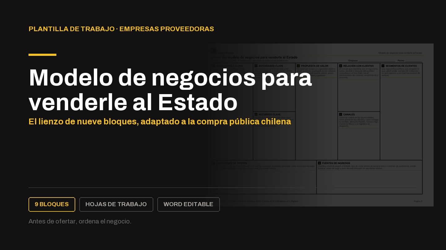 Plantilla del modelo de negocios para venderle al Estado